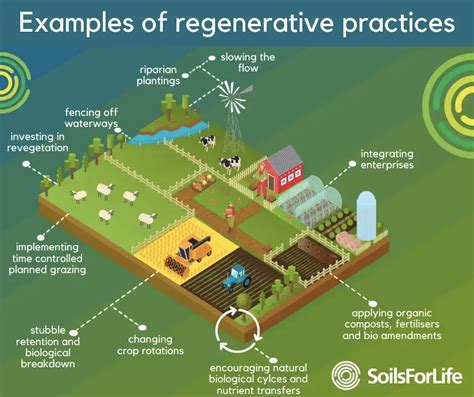  Regenerative Agriculture: A Symphony of Nature and Nourishment